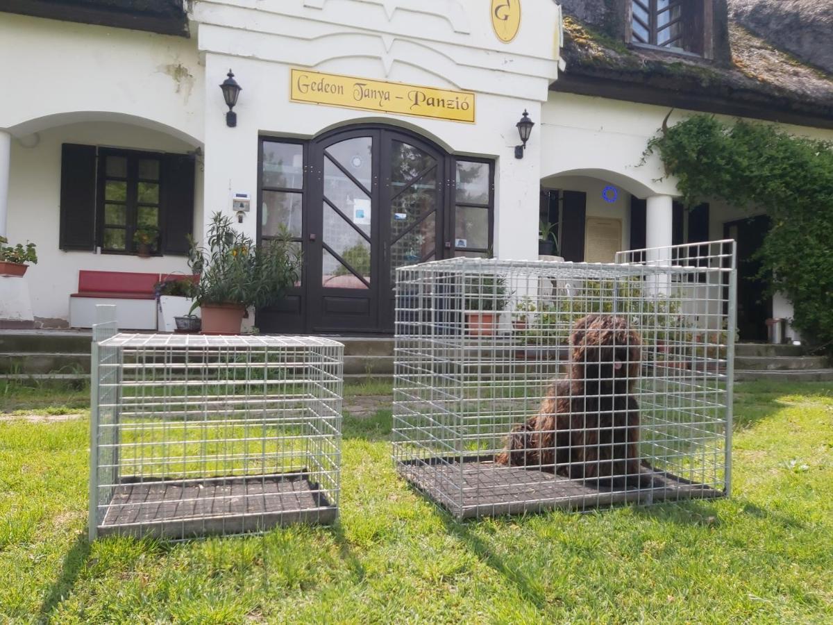 Gedeon Tanya Panzio Guest House Jakabszállás Eksteriør bilde