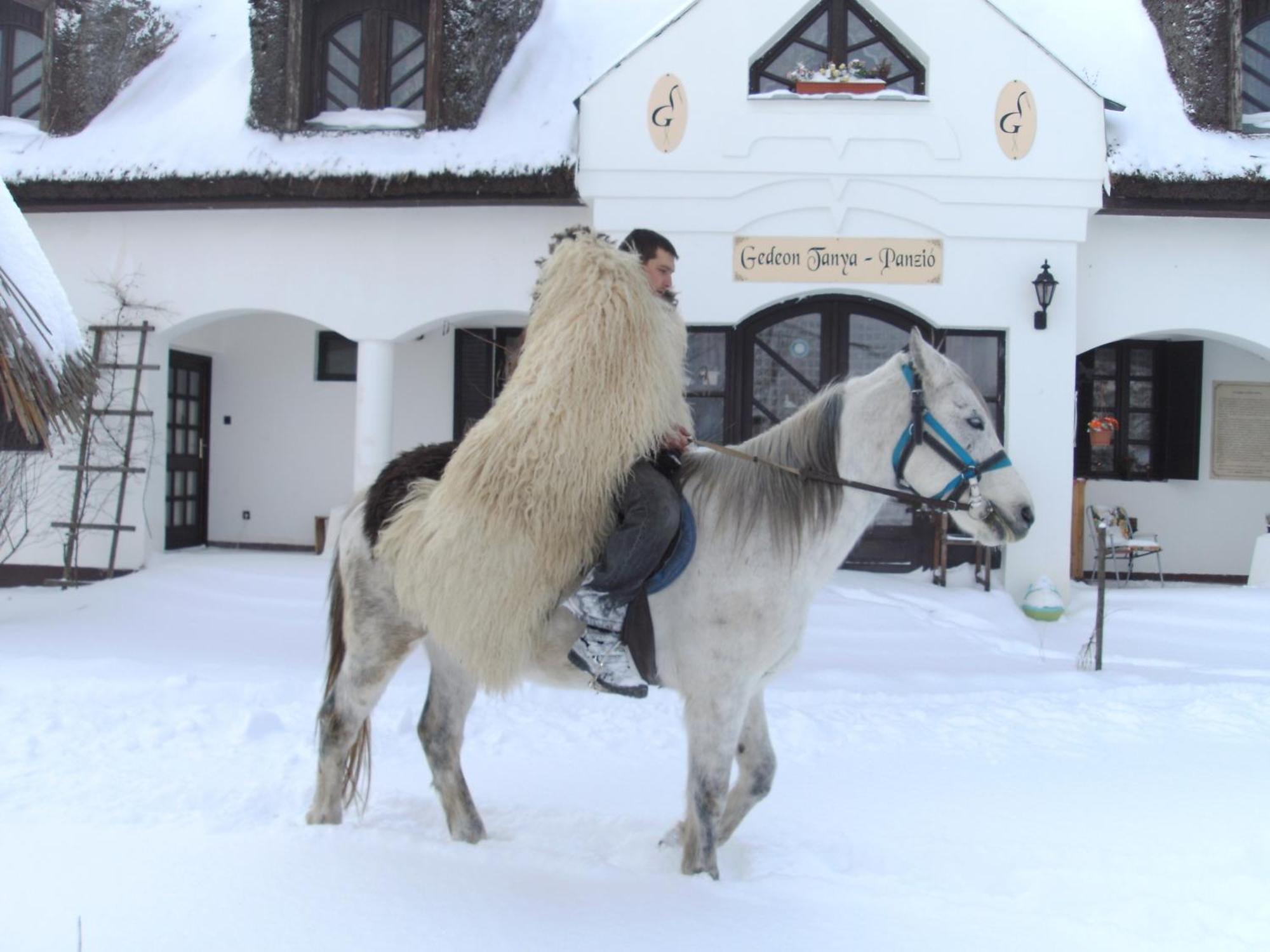 Gedeon Tanya Panzio Guest House Jakabszállás Eksteriør bilde